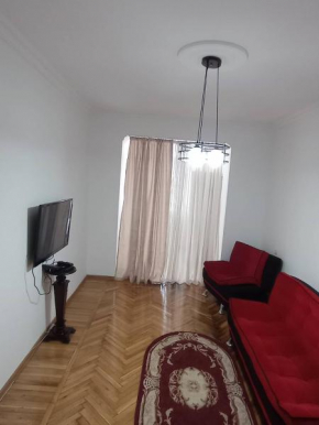 apartament vakhtang gorgasali street 41